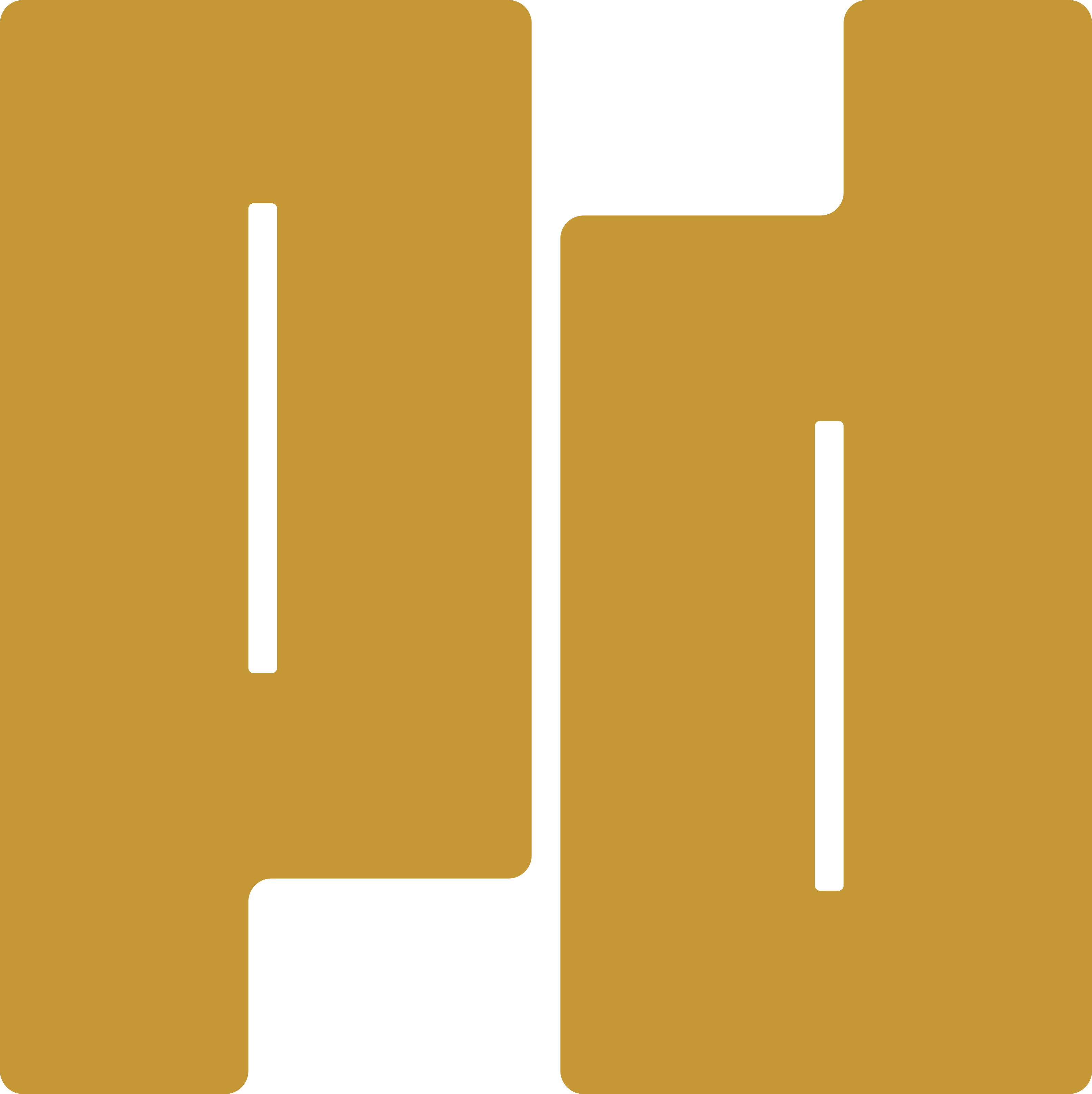 Petru Dogot Logo